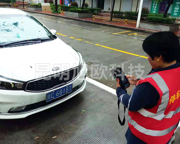 双柏鄂嘉镇路边停车收费系统