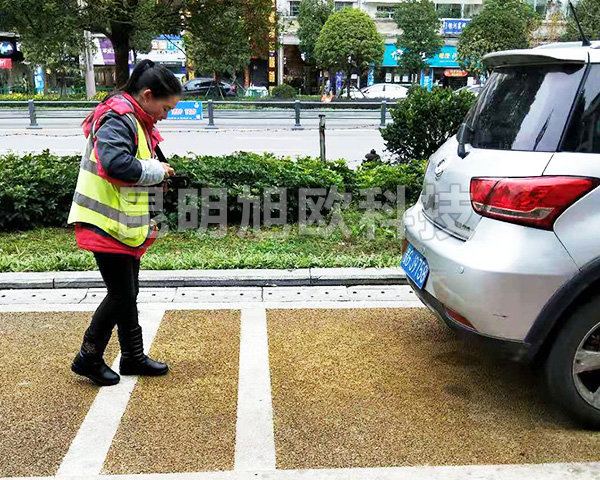 贵州安顺市路边停车收费系统