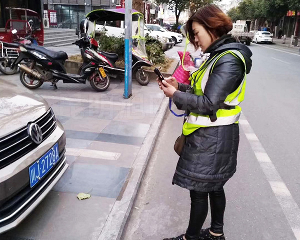 漾濞县城市路边停车收费系统